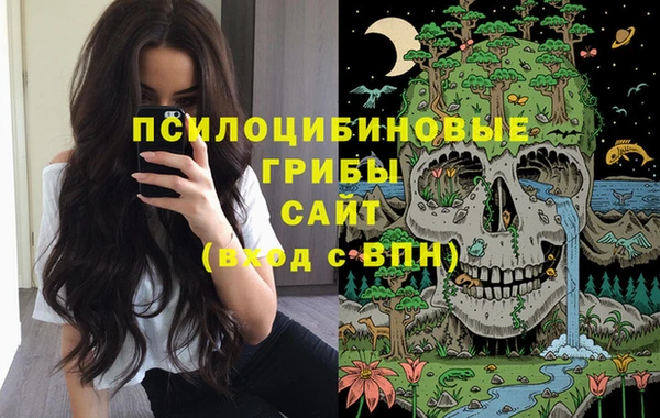 скорость Касимов